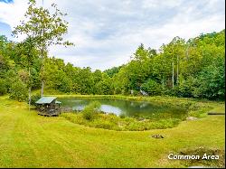 Lot 203 Covered Bridge Trl #34, Fancy Gap VA 24328