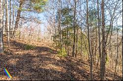 Lot 203 Covered Bridge Trl #34, Fancy Gap VA 24328