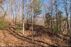 Lot 203 Covered Bridge Trl #34, Fancy Gap VA 24328