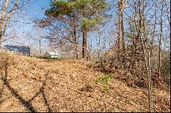 Lot 203 Covered Bridge Trl #34, Fancy Gap VA 24328