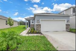 9168 Sandy Bluffs Circle, PARRISH, FL, 34219