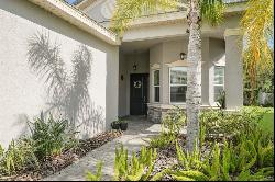 30900 Lindentree Drive, WESLEY CHAPEL, FL, 33543