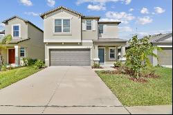 5454 Rainwood Meadows Drive, APOLLO BEACH, FL, 33572