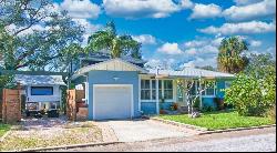 4302 West Obispo Street, TAMPA, FL, 33629