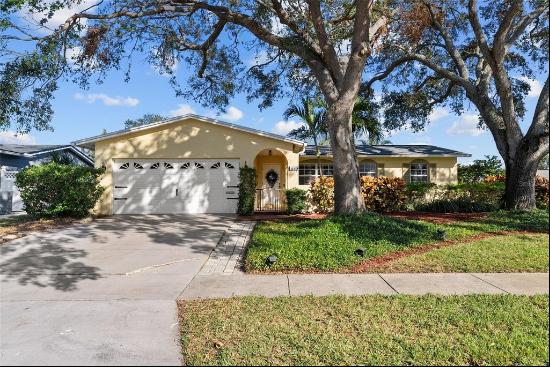 6041 16th Lane Ne, SAINT PETERSBURG, FL, 33703