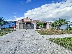 8127 Tarsier Avenue, NEW PORT RICHEY, FL, 34653