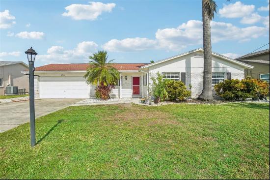 8719 Hickorywood Lane, TAMPA, FL, 33615