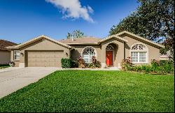 29414 Allegro Drive, WESLEY CHAPEL, FL, 33543