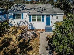 215 35th Avenue Ne, ST PETERSBURG, FL, 33704