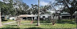 637 Jamaica Avenue, TAMPA, FL, 33606