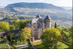 Millau, 12640, France