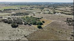 Lot 12 Pecan Valley Drive