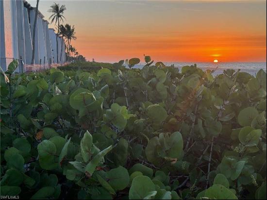 Sanibel