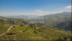 Vineyard with stunning views to Douro River, Vila Marim, Portugal