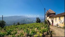 Vineyard with stunning views to Douro River, Vila Marim, Portugal