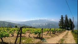 Vineyard with stunning views to Douro River, Vila Marim, Portugal