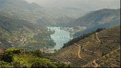 Vineyard with stunning views to Douro River, Vila Marim, Portugal