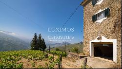 Vineyard with stunning views to Douro River, Vila Marim, Portugal