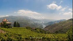 Vineyard with stunning views to Douro River, Vila Marim, Portugal