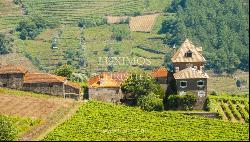 Vineyard with stunning views to Douro River, Vila Marim, Portugal