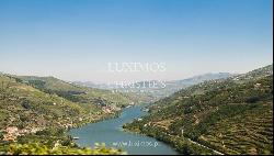 Vineyard with stunning views to Douro River, Vila Marim, Portugal