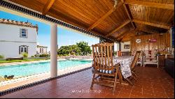 Vineyard with swimming pool, Maia, Porto, Portugal