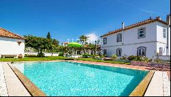 Vineyard with swimming pool, Maia, Porto, Portugal