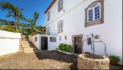 Vineyard with swimming pool, Maia, Porto, Portugal