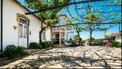 Vineyard with swimming pool, Maia, Porto, Portugal