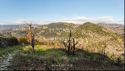 Vineyard in Douro Valley for sale, in Penajoia, Lamego, North of Portugal