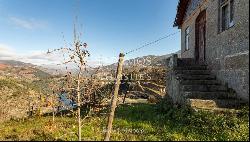 Vineyard in Douro Valley for sale, in Penajoia, Lamego, North of Portugal