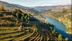 Vineyard in Douro Valley for sale, in Penajoia, Lamego, North of Portugal