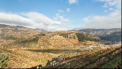 Vineyard in Douro Valley for sale, in Penajoia, Lamego, North of Portugal