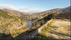 Vineyard in Douro Valley for sale, in Penajoia, Lamego, North of Portugal