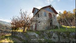 Vineyard in Douro Valley for sale, in Penajoia, Lamego, North of Portugal