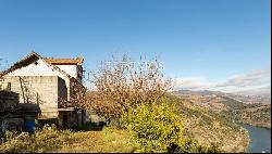 Vineyard in Douro Valley for sale, in Penajoia, Lamego, North of Portugal