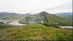 Wine estate with river views, for sale, in Pinhão, Douro Valley, Portugal