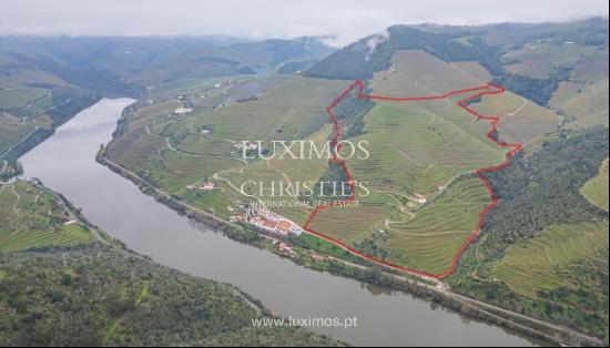 Wine estate with river views, for sale, in Pinhão, Douro Valley, Portugal