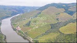 Wine estate with river views, for sale, in Pinhão, Douro Valley, Portugal