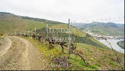 Wine estate with river views, for sale, in Pinhão, Douro Valley, Portugal