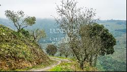 Vineyard for sale in  Douro Wine Demarcated Region, Douro Valley, Portugal