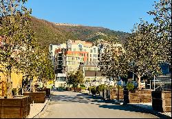 Porto Montenegro, Tivat