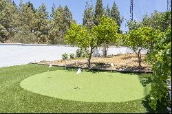 Great investment opportunity: Villa ideal for golfers, with a private putting green and l