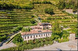 Beautiful estate with vineyard in Vacallo for sale