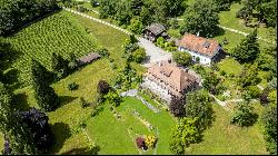 Mansion with its own vineyard.