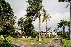 Pineapple Estate, Golden Rock, Nevis