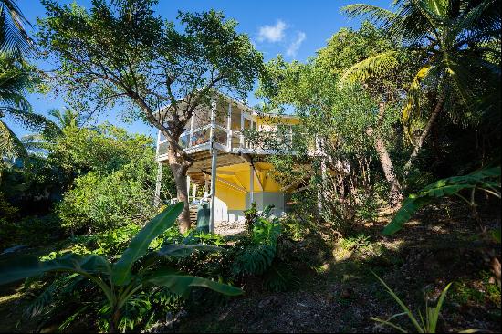 Hummingbird Tree House, Green Turtle Cay