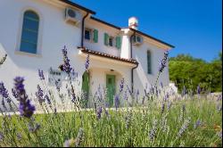 Rustic holiday house on the island of Krk