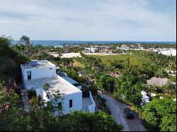 Paradise Found: Exquisite Luxury Ocean View Villa in the Dominican Republic