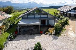 Pringy, contemporary house with lake view